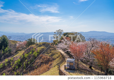 [春天]奈良公園若草山[櫻花] 115968718