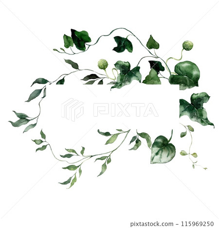 Watercolor floral horizontal frame featuring bedstraw, grass and herbs. Hand-drawn card of a plant bouquet on a white background. An outdoor illustration for design, printing or fabric background. Watercolor floral horizontal frame featuring bedstraw, grass and herbs. Hand-drawn card of a plant bouquet on a white background. An outdoor illustration for design, printing or fabric background. 115969250