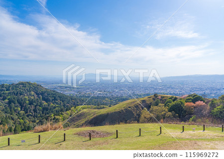 [Spring] Nara Park - View from Mount Wakakusa 115969272