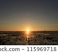 sunset in the lake 115969718