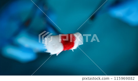 Surgeon in sterile uniform arms holding tools with bio material 115969882