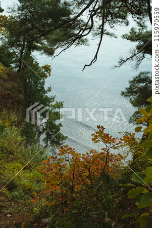 A serene view of the sea framed by lush green and autumn foliage, with branches hanging over the calm water below. A serene view of the sea framed by lush green and autumn foliage, with branches hanging over the calm water below. 115970559