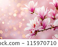 Magnolia branch on pink background with gold bokeh with copy space 115970710