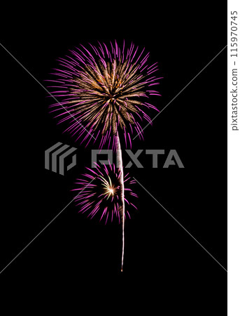 Pink fireworks sparkling on night sky . 115970745