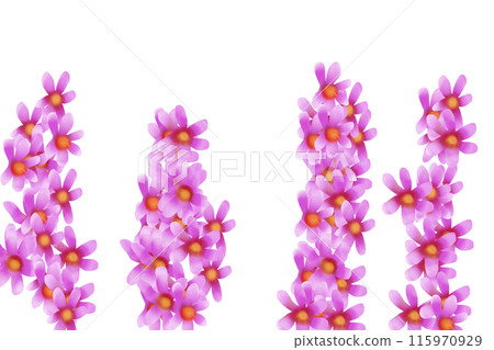 Lythrum salicaria flower card 1 115970929