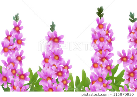 Lythrum salicaria flower card 2 115970930