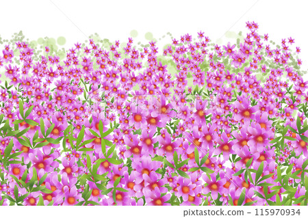 千屈菜花卡 6 115970934