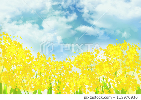 Lady's mantle flower card 2 115970936