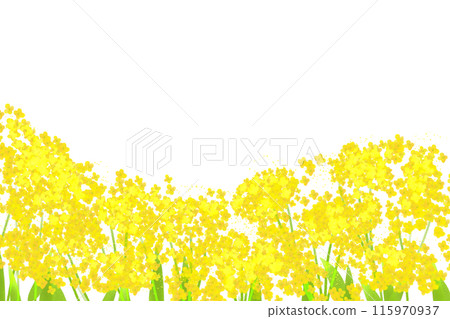 Ominaeshi 花卡 3 115970937