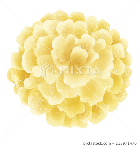 Watercolor Hand drawn illustration Rustic watercolor autumn Marigold flower Watercolor Hand drawn illustration Rustic watercolor autumn Marigold flower 115971476