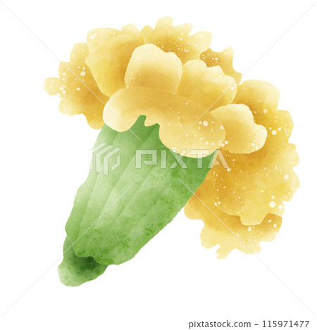 Watercolor Hand drawn illustration Rustic watercolor autumn Marigold flower 115971477
