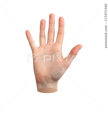 Five, hand gesture, hi and hello sign Spreading fingers, palm isolated on white background Five, hand gesture, hi and hello sign Spreading fingers, palm isolated on white background 115972389