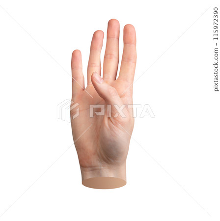 Four, hand gesture, sign isolated on white background Four, hand gesture, sign isolated on white background 115972390
