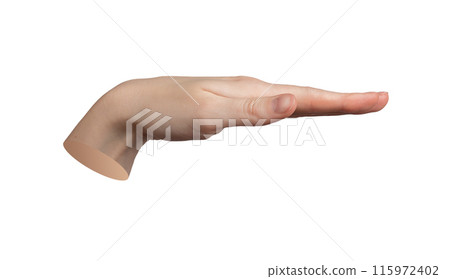 Hand gesture, palm down, measuring horizontal level Isolated on white background Fingers straight, Hand gesture, palm down, measuring horizontal level Isolated on white background Fingers straight, 115972402