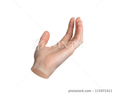 Hand holding, taking up gesture, sign isolated on white background 115972421