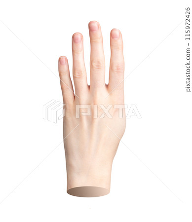 Hand showing four fingers, counting 4. Fourth number gesture, isolated symbol on white background. Hand showing four fingers, counting 4. Fourth number gesture, isolated symbol on white background. 115972426