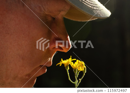 Male smelling flowers in nature, enjoying the psychology of the moment Mature face of an adult man 115972497