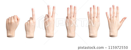 Hand showing fingers counting. One, two, three, four, five numbers isolated. Gestures for count, 115972550
