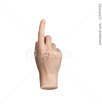 Hand pointing gesture, index finger indicating. Pointer sign isolated on white background. Showing, 115972555