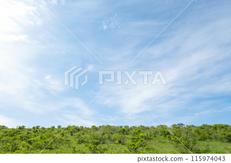 Refreshing highland landscape Refreshing highland landscape 115974043