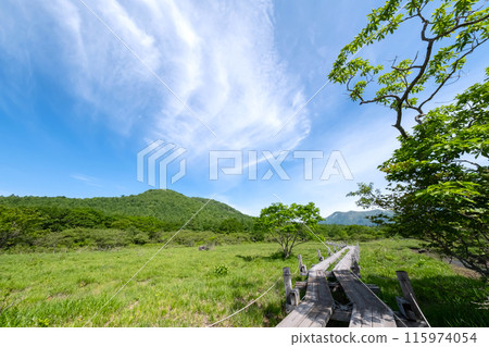 Scenery of the boardwalk in Numappara Marsh, Nasushiobara City, Tochigi Prefecture 115974054