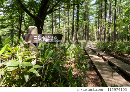 Forest scenery with a signpost in the Numappara Marshlands, Nasushiobara City, Tochigi Prefecture Forest scenery with a signpost in the Numappara Marshlands, Nasushiobara City, Tochigi Prefecture 115974103