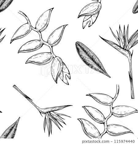 Tropical vector seamless pattern with palm leaves, heliconia, Bird of Paradise or Strelitzia reginae flowers illustrations on isolated background. Beautiful botanical hand painted exotic element. For 115974440