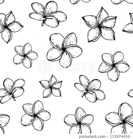 Tropical seamless pattern with vector plumeria flowers illustration on isolated background. Beautiful botanical hand painted linear exotic frangipani. For designers, spa decoration, postcards, Tropical seamless pattern with vector plumeria flowers illustration on isolated background. Beautiful botanical hand painted linear exotic frangipani. For designers, spa decoration, postcards, 115974450