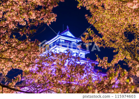 日本賞櫻勝地百選：福島鶴雅城（會津若松城）夜間櫻花點燈 115974603