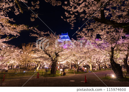 日本賞櫻勝地百選：福島鶴雅城（會津若松城）夜間櫻花點燈 115974608