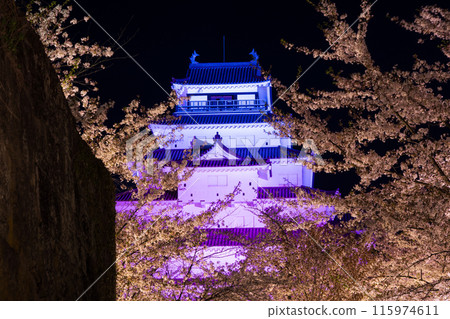 日本賞櫻勝地百選：福島鶴雅城（會津若松城）夜間櫻花點燈 115974611