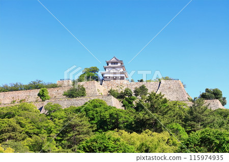 [香川縣]從北側的內護城河看到的五月天氣的丸龜城（現存天守閣和石牆的名城） 115974935