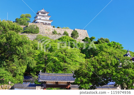 [Kagawa Prefecture] Marugame Castle on a clear May day as seen from the northern inner moat (a famous castle with a surviving castle tower and stone walls) 115974936