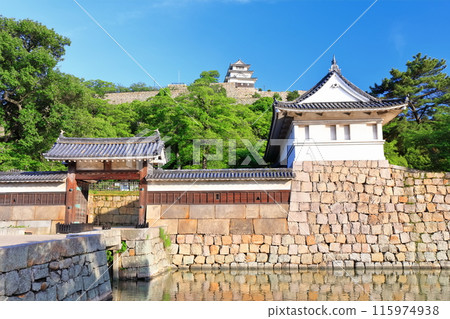 [Kagawa Prefecture] Marugame Castle on a clear May day as seen from the northern inner moat (a famous castle with a surviving castle tower and stone walls) 115974938