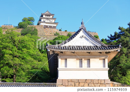 [Kagawa Prefecture] Marugame Castle on a clear May day as seen from the northern inner moat (a famous castle with a surviving castle tower and stone walls) 115974939