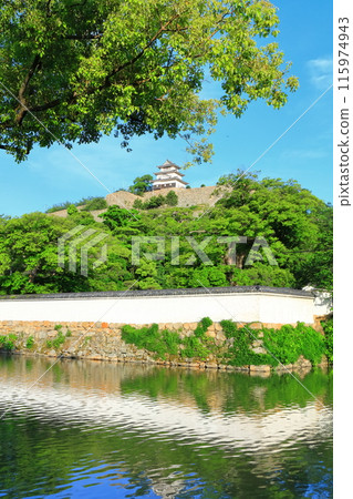 [Kagawa Prefecture] Marugame Castle on a clear May day as seen from the northern inner moat (a famous castle with a surviving castle tower and stone walls) 115974943