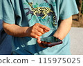 My mother's hands operating a smartphone 115975025