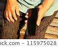 My mother's hands operating a smartphone 115975028