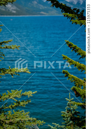 Evergreen pines against the backdrop of the beautiful turquoise Lake Minewanka in the mountains of Banff National Park in Canada Evergreen pines against the backdrop of the beautiful turquoise Lake Minewanka in the mountains of Banff National Park in Canada 115975353