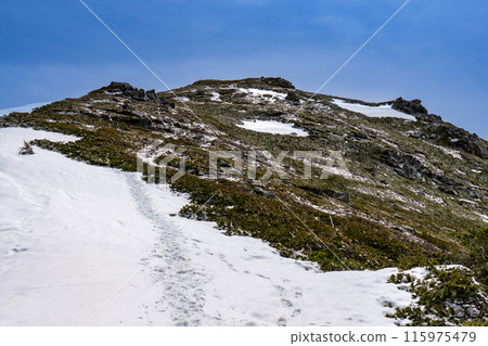 Shogizumeyama in the Central Alps - Climbing in the snow season - The summit of Shogizumeyama 115975479