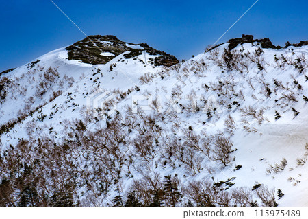 中央阿爾卑斯山的正義山。 中央阿爾卑斯山的正義山。 115975489