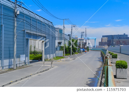 東京江戶川區妙見島風景 2024 年 6 月 115975703