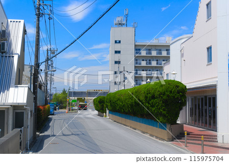 東京江戶川區妙見島風景 2024 年 6 月 115975704