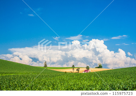 "Hokkaido" Summer Biei - Red-roofed houses and rural scenery 115975723