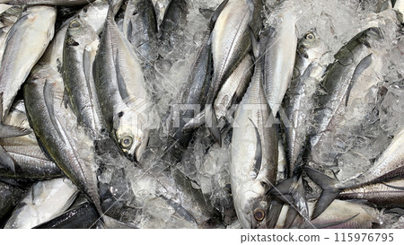 Top view of fresh fish covered with ice display in wet market . Asian food concept. 115976795