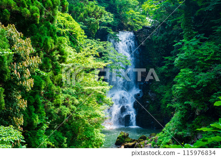 White Falls of Nazo 115976834