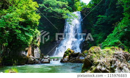 納佐的白色瀑布 115976883