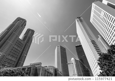 新宿副中心、國會大廈街週邊的高層建築 2024.06 單色 新宿副中心、國會大廈街週邊的高層建築 2024.06 單色 115977421
