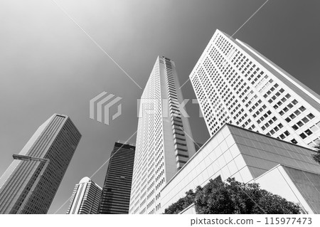 Shinjuku Subcenter Skyscrapers seen from Parliament Street 2024.06 Black and white Shinjuku Subcenter Skyscrapers seen from Parliament Street 2024.06 Black and white 115977473
