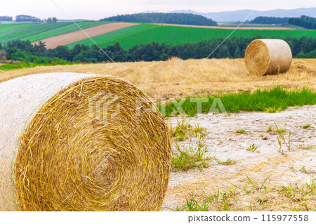 "Hokkaido" Biei Hills, Wheat Fields and Hay Rolls 115977558